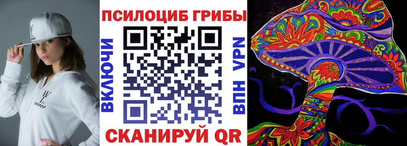 Галлюциногенные грибы Cubensis  Мещовск 